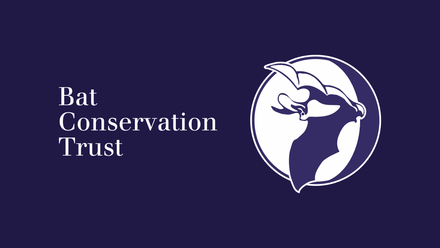 195A-bats-artificial-lighting-symposium-2019.png